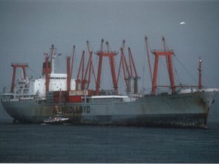 Foto: D. Hasenpusch (C)